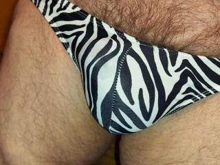 Zebra Undies