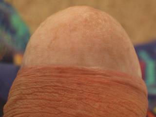 I just love seeing a cock bursting out of its foreskin