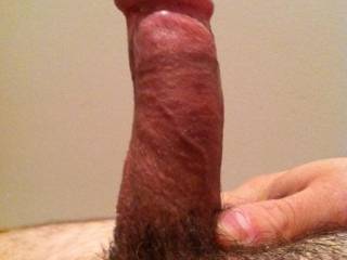 anyone have a pussy I can put this in?