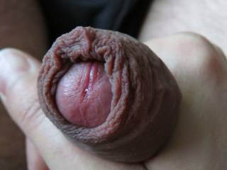 Playing with my cockhead and foreskin, I need help !