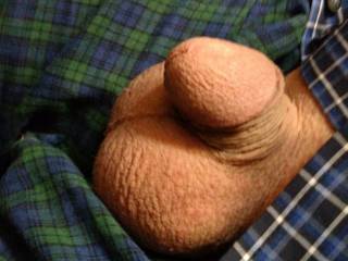My embarrassing cock