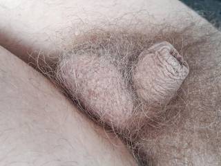 My micro dick 
Erectile dysfunction 
Blond pubic hair