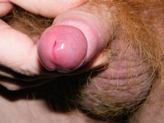 Foreskin pulled back. Do you want to lick it?