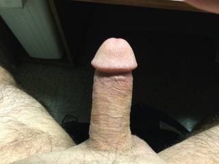 Needs a sucking