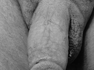 Front on photo shot