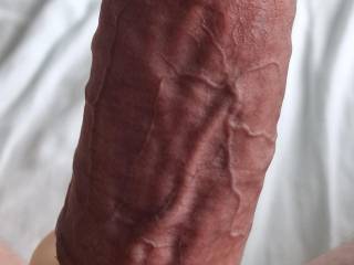 My cock with cockring
