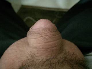 Love showing everyone how small my penis is!