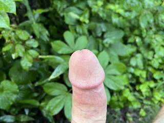 Got pretty excited about being natural in nature.
