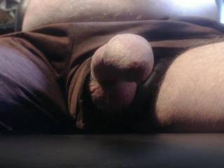 Peaking out under my desk, looking for action