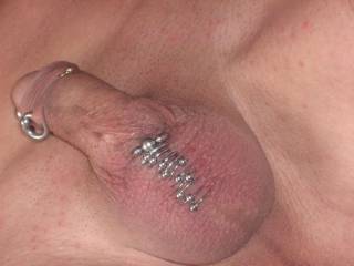 My husbands beautiful pierced cock. Who would like to take it for a test run?? :-)