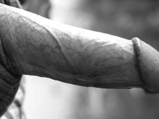 Homme Sexuelle - Noir et Blanc Classique: "Experienced Hard Cock"