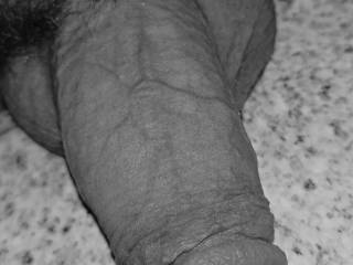 my Dick on Display