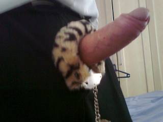 Want to be cuffed to my cock ?