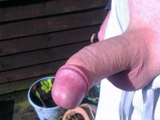 Told hubby to get his cock out in the garden and he did what do you think ladies?