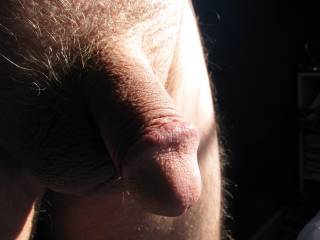 Looking for stimulation in the autumn light.