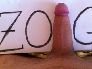 Zoig