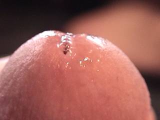 Show you my wetness