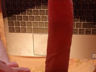 Tribute to Paulitadulce94