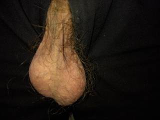 Would you suck my balls  ??