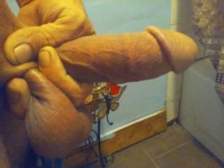 I have a nice firm grip on things