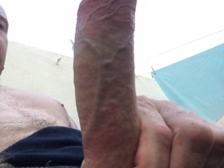 What do you think ?