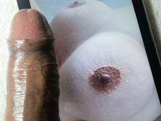 cock tribute SilverDollarDD