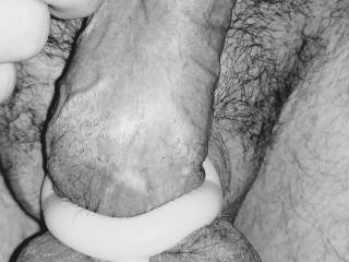 Erotic Art in a Cock & ball ring