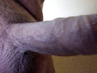 Who wants to have some fun?