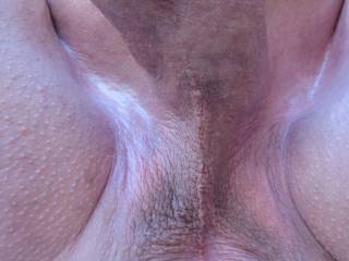 Shaved