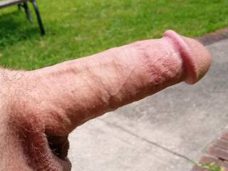 My little cock