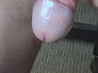Rock hard now a nice pussy would relieve that hard pressure and open the valve to lose a huge load of hot spunk 💦💦💦💦💦💦💦💦💦💦💦💦💦💦💦💦💦💦💦💧