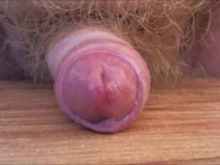 Rubbing my small dick on table until I unload a nice load of cum, hope you like it.
