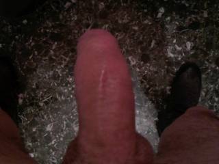 my cock