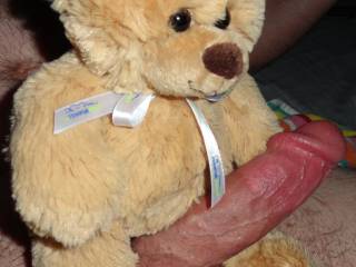 Can I be your Teddy Bear?