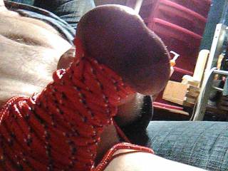 tried a new color do you like