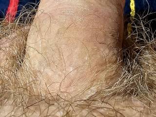 Fresh out of the shower