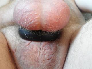Suck my balls
