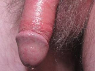 A close up frontal of my red wood colored dick [tong balm was applied/makes a guy last longer] plus my tip has a fluid bubble forming...September 2025... Canon  S95 camera was used.