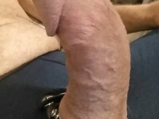 His cock hard and ready for me to bounce on. Anyone else?
