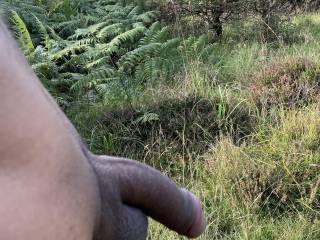 Managed to find a clearing off the public path on the way to the fort, I could get my trousers down and get the cock out and have little play