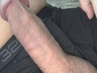 Cock just wanted to say hi!