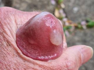 Ejaculating after a nice wank in the garden