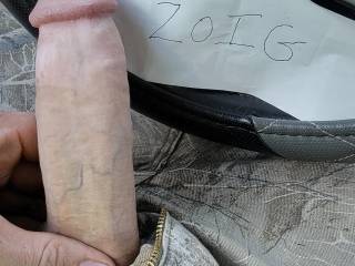 My cock getting hard watching zoig members