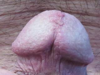 lick here please