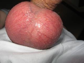... my balls after 3 days of wanking without shooting sperm ... bursting with cum!