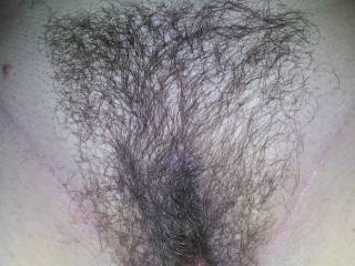 WOW love that hairy pussy.. soo nice that some still believe in being natural.. good for you.. id lick that ANYDAY over any shaved pussy