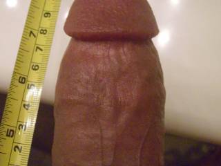 does it measure up?