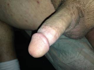 my cock