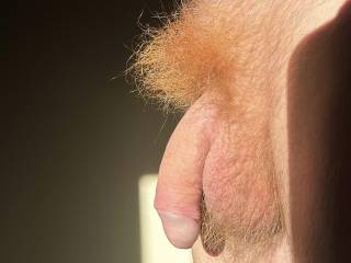 Just wanna show you how much and how long my orange hair on my dick is :) 
What do you think about it?