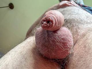 dick
